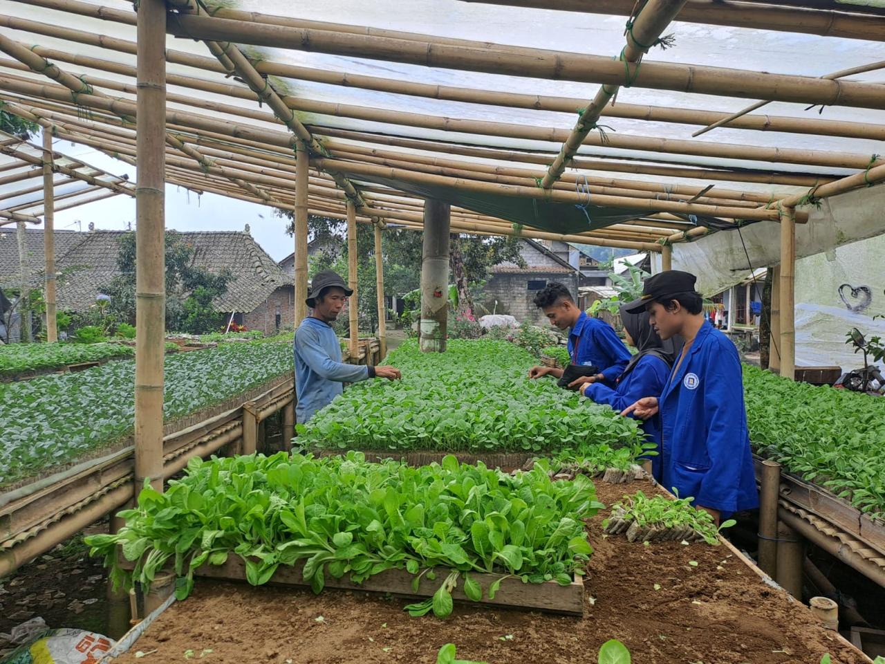 Penanaman benih bersama pak ripto